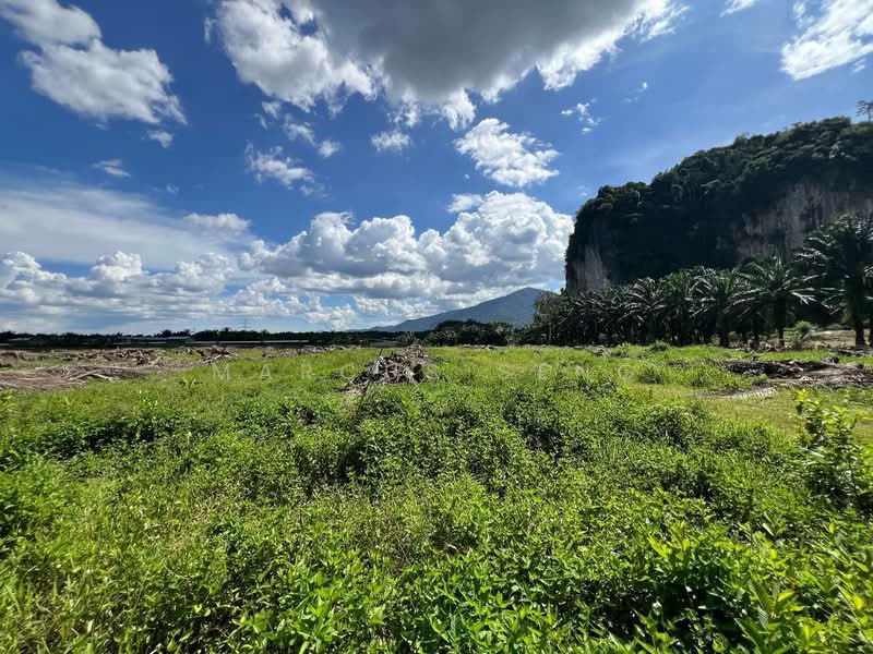 Tanah Pertanian untuk Dijual di Chemor (Perak) - Marcus Seng - PropertyGuru.com.my