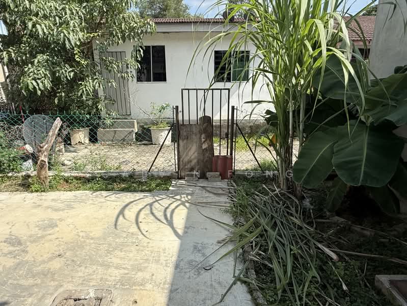 1-storey Terraced House for Rent in Taman Kelisa Ria (Sungai Petani) - Calvin Fong - Backyard - PropertyGuru.com.my