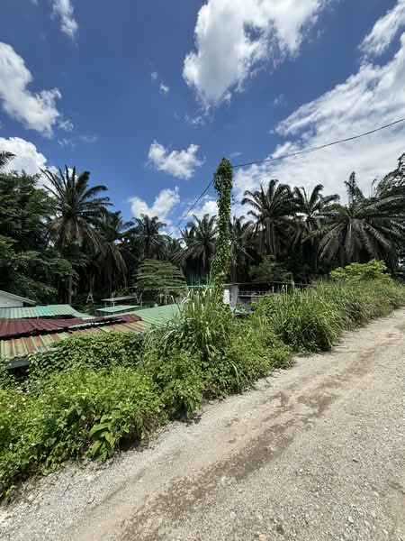 Tanah Pertanian untuk Dijual di Kampung Sri Broga (Semenyih) - Alvin Seah - Exterior - PropertyGuru.com.my