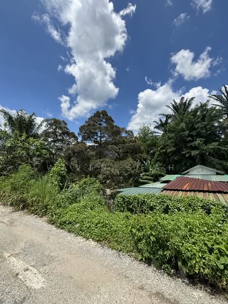 Tanah Pertanian untuk Dijual di Kampung Sri Broga (Semenyih) - Alvin Seah - Exterior - PropertyGuru.com.my