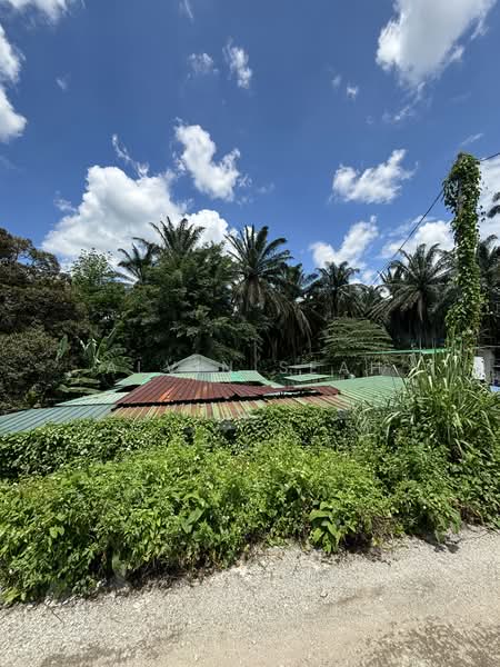 Tanah Pertanian untuk Dijual di Kampung Sri Broga (Semenyih) - Alvin Seah - Exterior - PropertyGuru.com.my
