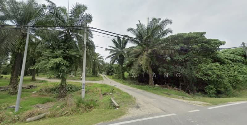 Tanah Pertanian untuk Dijual di Sungai Jawi (Penang) - Yap Yi Xiang - Exterior - PropertyGuru.com.my