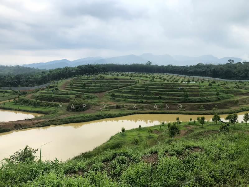 Tanah Pertanian untuk Dijual di Lenggong (Perak) - Yap Yi Xiang - Garden - PropertyGuru.com.my