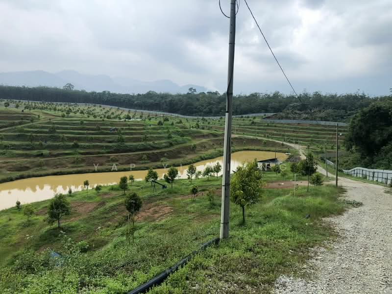 Tanah Pertanian untuk Dijual di Lenggong (Perak) - Yap Yi Xiang - Exterior - PropertyGuru.com.my