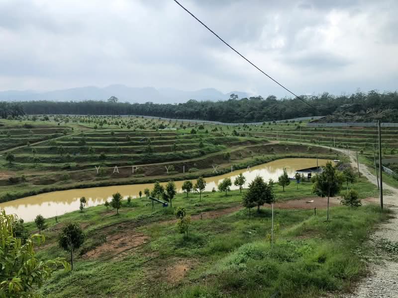 Tanah Pertanian untuk Dijual di Lenggong (Perak) - Yap Yi Xiang - Exterior - PropertyGuru.com.my