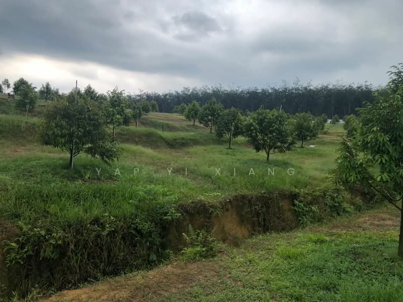 Tanah Pertanian untuk Dijual di Lenggong (Perak) - Yap Yi Xiang - Garden - PropertyGuru.com.my