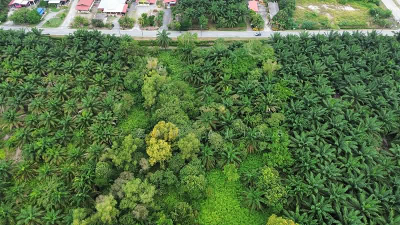 Agricultural Land for Sale in Banting (Selangor) - Izzah Alias - PropertyGuru.com.my