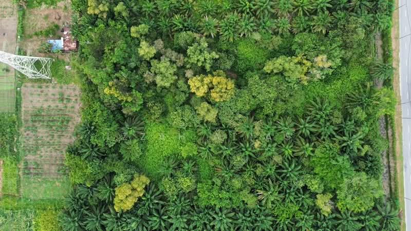 Agricultural Land for Sale in Banting (Selangor) - Izzah Alias - Exterior - PropertyGuru.com.my