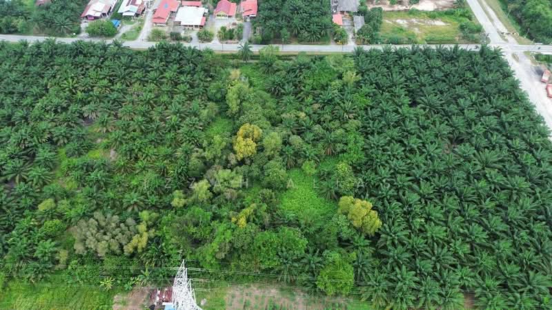 Agricultural Land for Sale in Banting (Selangor) - Izzah Alias - Exterior - PropertyGuru.com.my