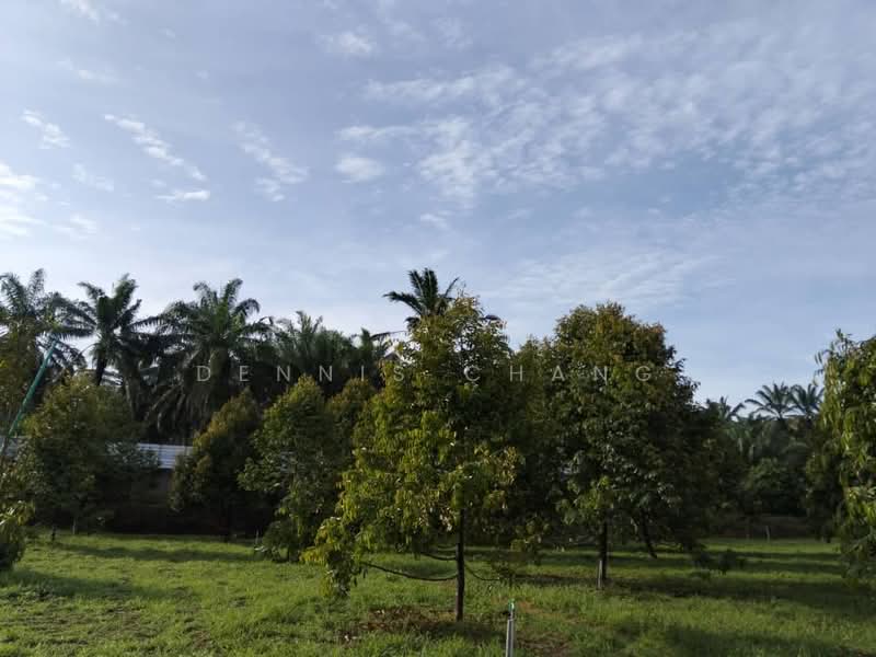 Agricultural Land for Sale in Kampung Melayu (Kluang) - Dennis Chang - Exterior - PropertyGuru.com.my