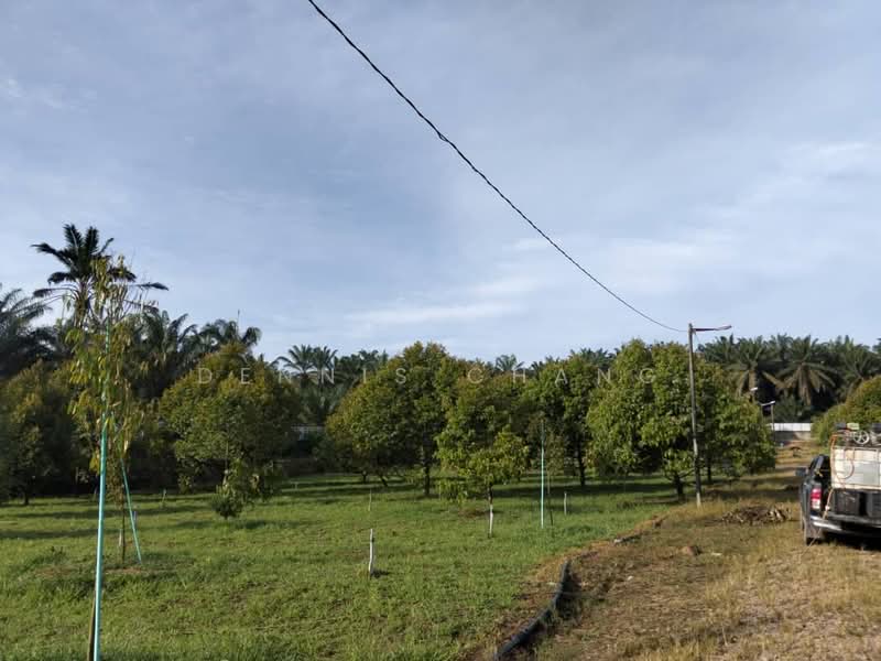 Agricultural Land for Sale in Kampung Melayu (Kluang) - Dennis Chang - Exterior - PropertyGuru.com.my