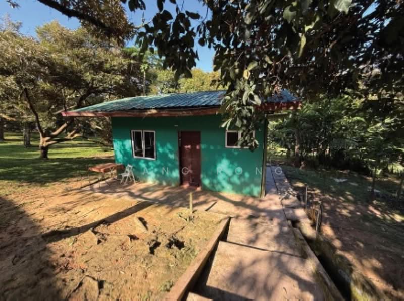 Agricultural Land for Sale in Raub (Pahang) - Xiang Rong - Exterior - PropertyGuru.com.my