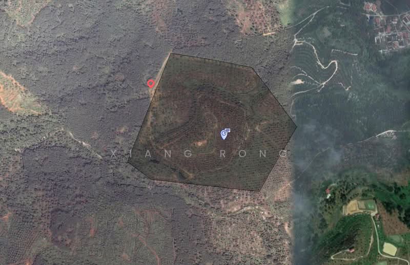 Agricultural Land for Sale in Raub (Pahang) - Xiang Rong - Exterior - PropertyGuru.com.my