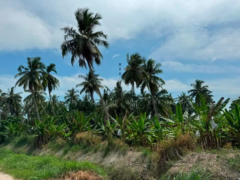 Tanah Pertanian untuk Dijual di Kapar (Selangor) - Yap Chew Ying - PropertyGuru.com.my