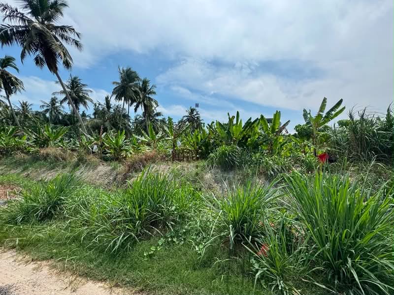 Tanah Pertanian untuk Dijual di Kapar (Selangor) - Yap Chew Ying - PropertyGuru.com.my