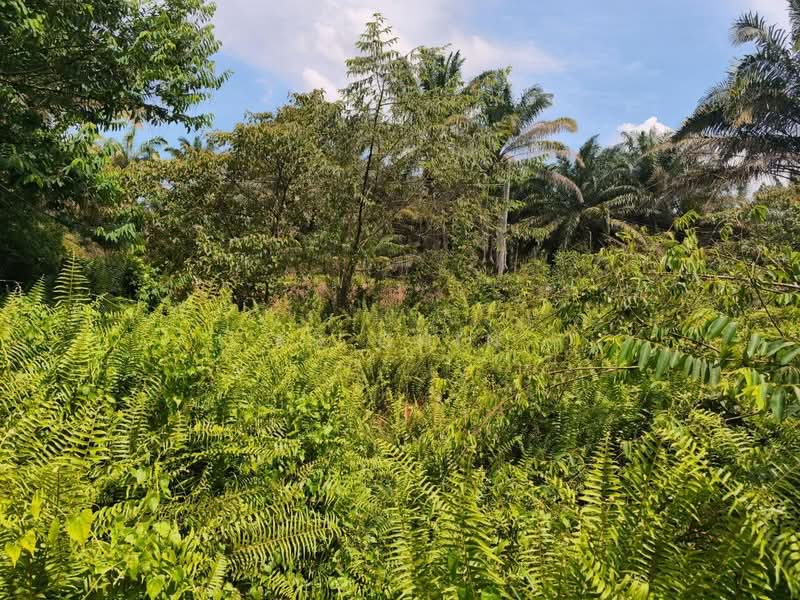 Tanah Kediaman untuk Dijual di Simpang Renggam (Johor) - KS Chin - Garden - PropertyGuru.com.my