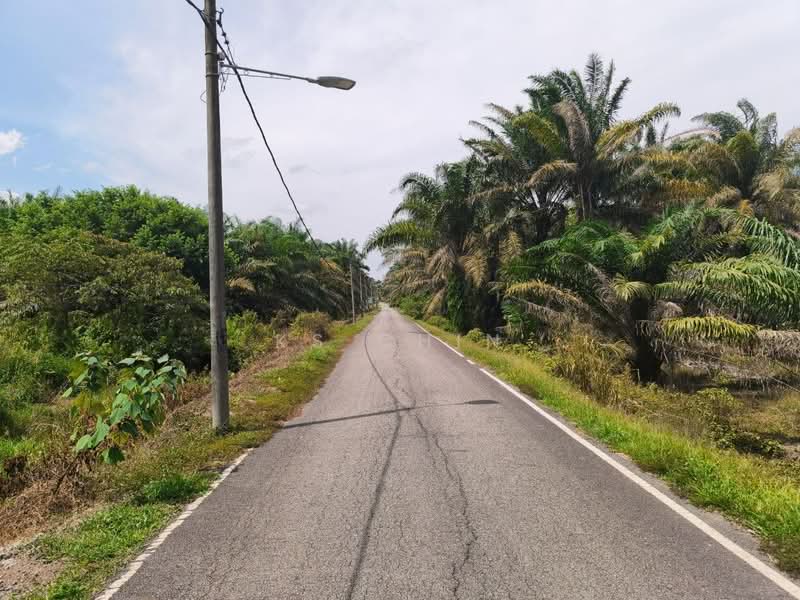 Tanah Kediaman untuk Dijual di Simpang Renggam (Johor) - KS Chin - Exterior - PropertyGuru.com.my