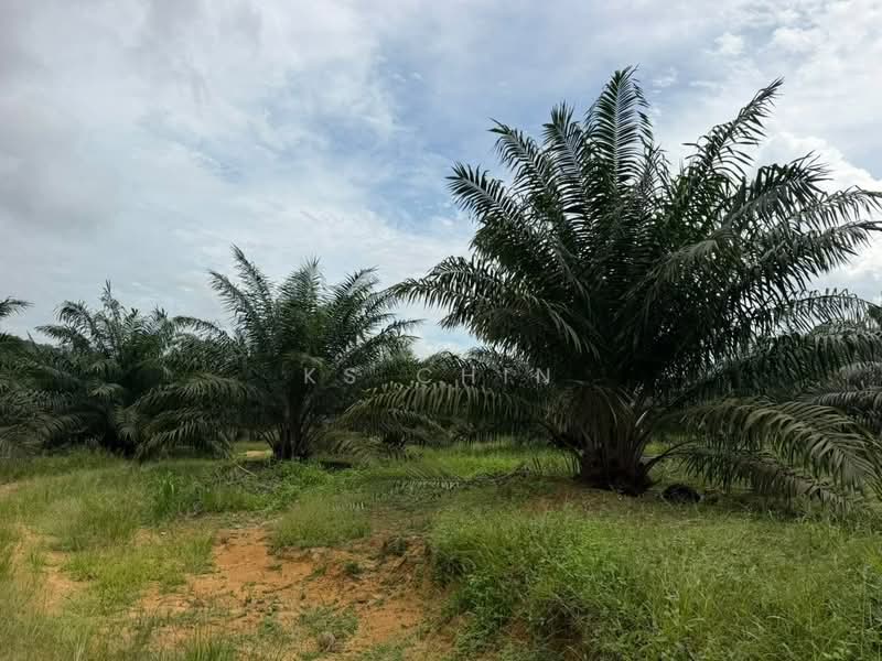 Tanah Perindustrian untuk Dijual di Kulai (Johor) - KS Chin - Exterior - PropertyGuru.com.my