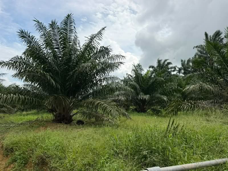 Tanah Perindustrian untuk Dijual di Kulai (Johor) - KS Chin - Exterior - PropertyGuru.com.my