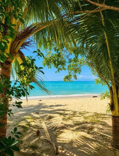 Condominium for Sale at Sri Golden Bay Condominium - Cheryl Chng - Exterior - PropertyGuru.com.my