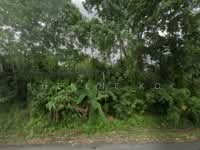 For Sale - L0169 Agricultural Land @ Labuan Kampung Kerupang