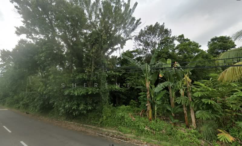 Agricultural Land for Sale in Kampung Kerupang (Labuan) - Sherene Kok - Exterior - PropertyGuru.com.my