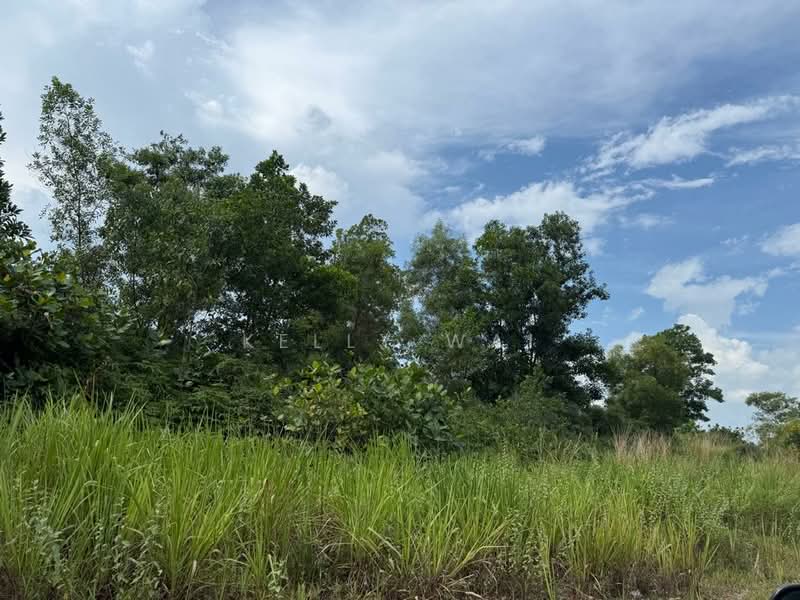 Industrial Land for Sale in Kawasan Perindustrian Tanjung Langsat (Pasir Gudang) - Kelly Wai - Exterior - PropertyGuru.com.my