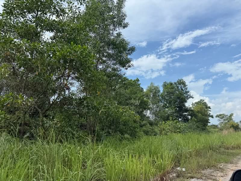 Industrial Land for Sale in Kawasan Perindustrian Tanjung Langsat (Pasir Gudang) - Kelly Wai - Exterior - PropertyGuru.com.my