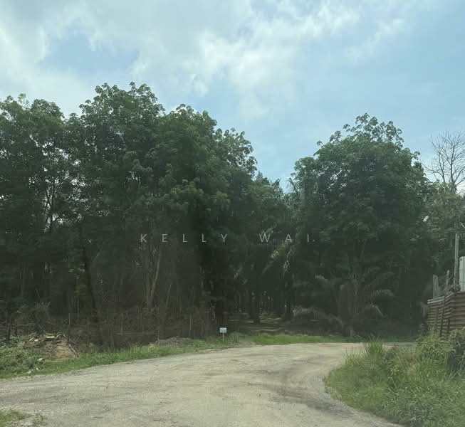 Agricultural Land for Sale in Kampung Baru Ban Foo (Ulu Tiram) - Kelly Wai - Exterior - PropertyGuru.com.my