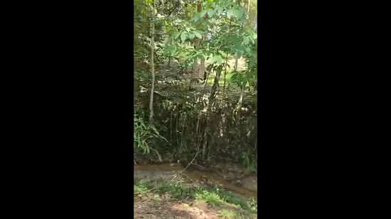 Agricultural Land for Sale in Kampung Jerlun (Kuala Kangsar) - Marcus Seng - PropertyGuru.com.my