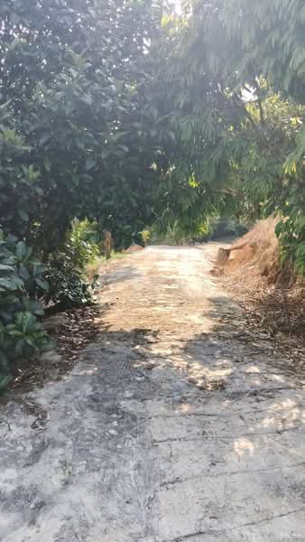 Agricultural Land for Sale in Kuala Kangsar (Perak) - Marcus Seng - Exterior - PropertyGuru.com.my