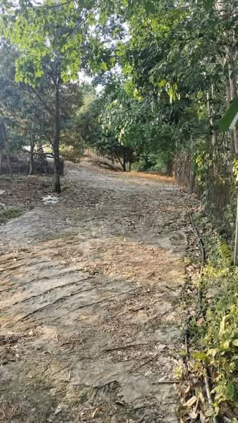 Agricultural Land for Sale in Kuala Kangsar (Perak) - Marcus Seng - Exterior - PropertyGuru.com.my