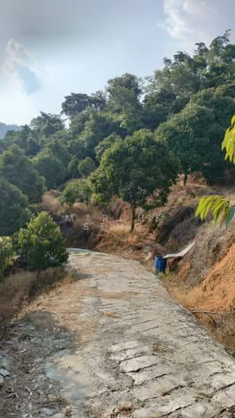 Agricultural Land for Sale in Kuala Kangsar (Perak) - Marcus Seng - Exterior - PropertyGuru.com.my