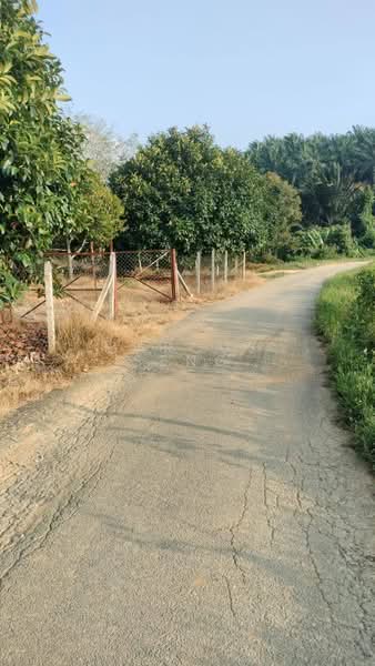 Agricultural Land for Sale in Kuala Kangsar (Perak) - Marcus Seng - Exterior - PropertyGuru.com.my