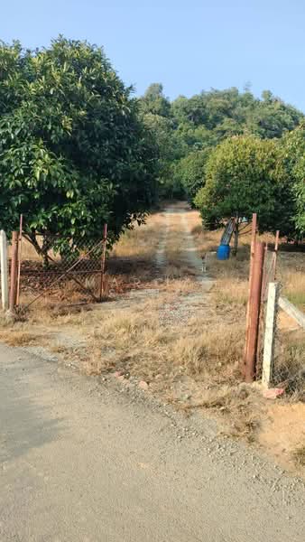 Agricultural Land for Sale in Kuala Kangsar (Perak) - Marcus Seng - Exterior - PropertyGuru.com.my