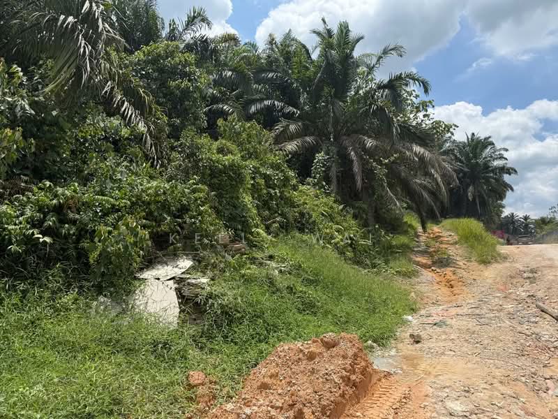 Tanah Perindustrian untuk Dijual di Tanjung Kupang (Iskandar Puteri (Nusajaya)) - Kelly Wai - Exterior - PropertyGuru.com.my