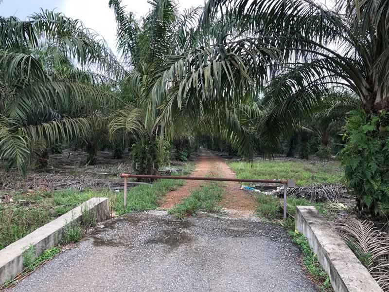 Agricultural Land for Sale in Pontian (Johor) - Kelly Wai - Exterior - PropertyGuru.com.my