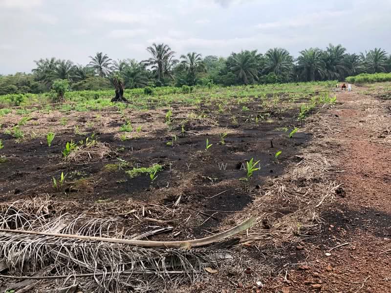 Agricultural Land for Sale in Pontian (Johor) - Kelly Wai - Exterior - PropertyGuru.com.my