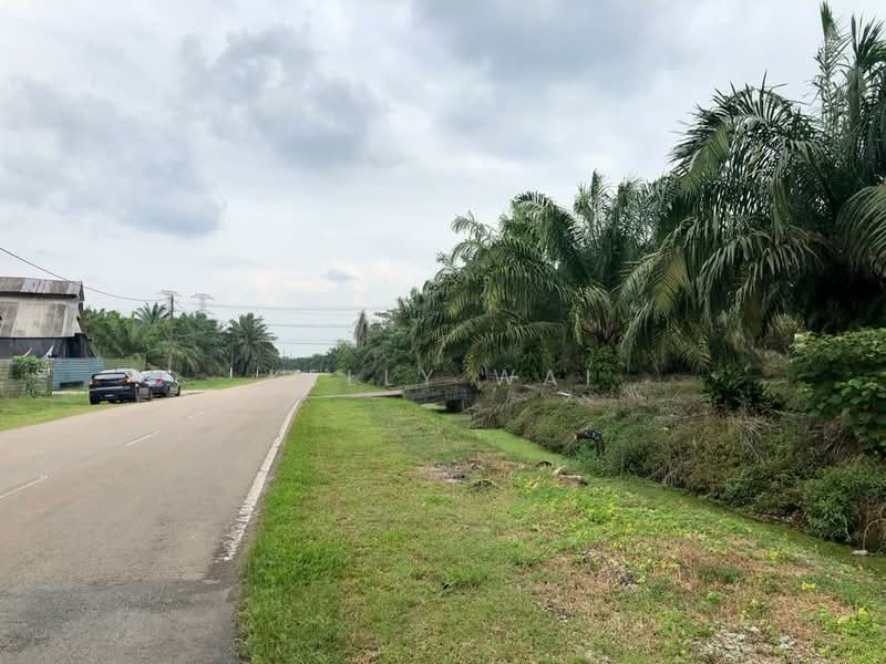 Agricultural Land for Sale in Pontian (Johor) - Kelly Wai - Exterior - PropertyGuru.com.my