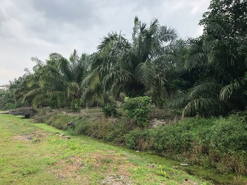 Agricultural Land for Sale in Pontian (Johor) - Kelly Wai - Exterior - PropertyGuru.com.my