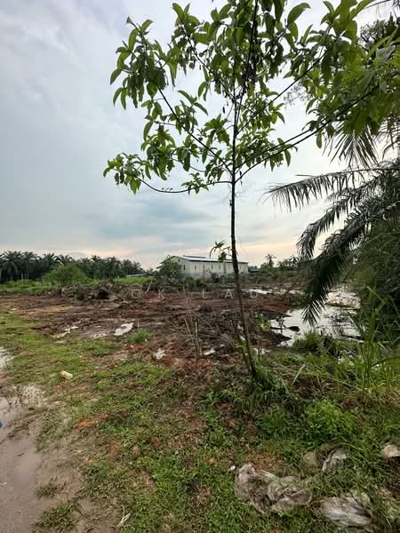 Tanah Perindustrian untuk Dijual di Ijok (Selangor) - Ck Lau - Exterior - PropertyGuru.com.my
