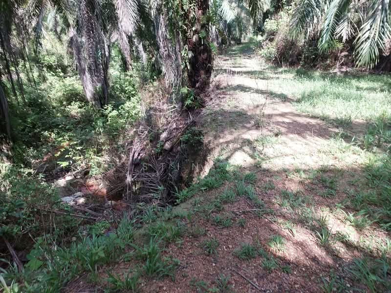 Agricultural Land for Sale in Kota Tinggi (Johor) - Christine Cham - Exterior - PropertyGuru.com.my