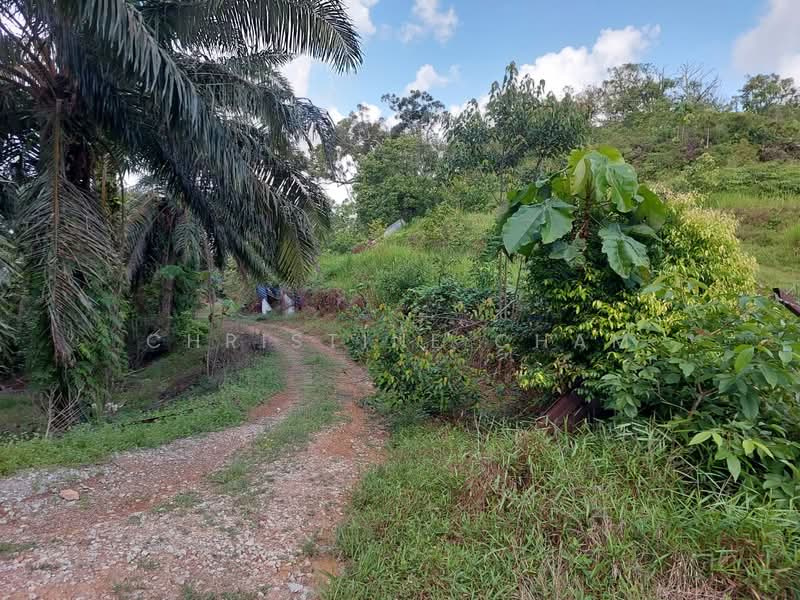 Agricultural Land for Sale in Kota Tinggi (Johor) - Christine Cham - Exterior - PropertyGuru.com.my