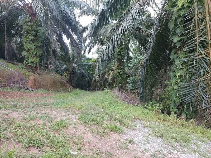 Agricultural Land for Sale in Kota Tinggi (Johor) - Christine Cham - Exterior - PropertyGuru.com.my