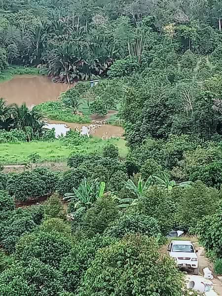 Agricultural Land for Sale in Kuala Kangsar (Perak) - Cherie Chong - Exterior - PropertyGuru.com.my