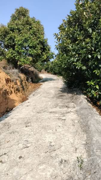 Agricultural Land for Sale in Kuala Kangsar (Perak) - Cherie Chong - Exterior - PropertyGuru.com.my