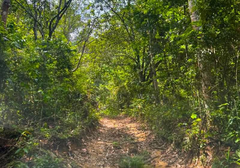 Agricultural Land for Sale in Ampangan (Negeri Sembilan) - Janie Wai - Exterior - PropertyGuru.com.my