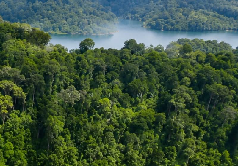 Agricultural Land for Sale in Ampangan (Negeri Sembilan) - Janie Wai - Exterior - PropertyGuru.com.my