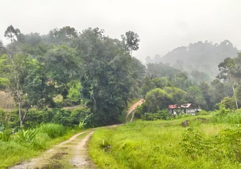 Agricultural Land for Sale in Ampangan (Negeri Sembilan) - Janie Wai - Exterior - PropertyGuru.com.my