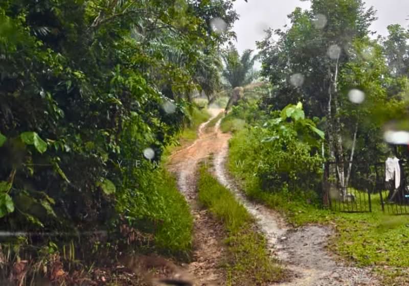 Agricultural Land for Sale in Ampangan (Negeri Sembilan) - Janie Wai - Exterior - PropertyGuru.com.my